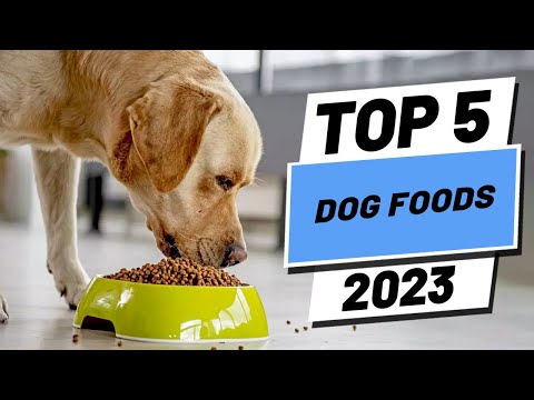 Top 5 BEST Dog Foods of (2023)