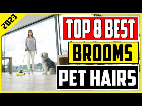 Best Electric Broom for Pet Hairs 2023  Find Your Perfect Cleaning Companion