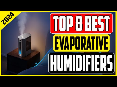 Stay Fresh Top 8 Best Evaporative Humidifiers In 2024 Revealed