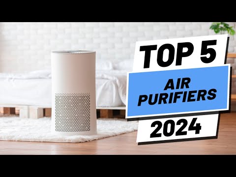 Top 5 BEST Air Purifiers in (2024)
