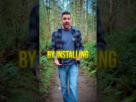 Quit Your Job & Earn $5,000/Month Helping Businesses